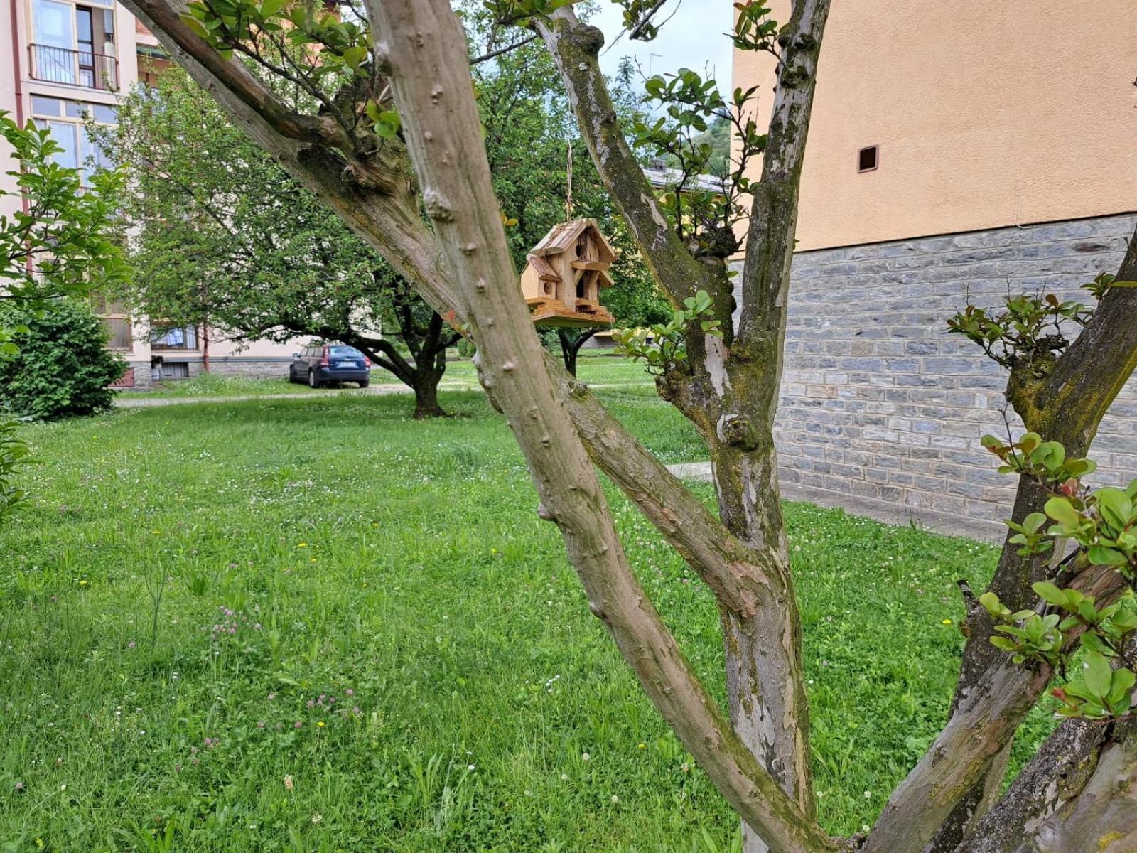 Seraval Valsesia Apartment Serravalle Sesia エクステリア 写真